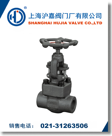 锻钢截止阀
