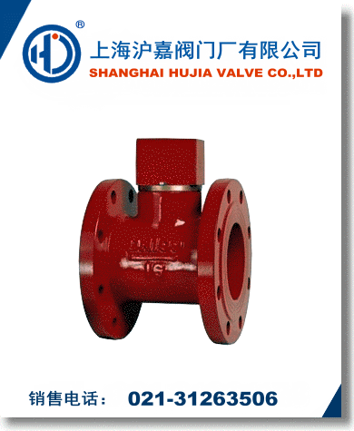 ZSJZ水流指示器